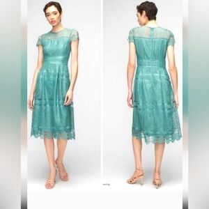 New! White‎ House Black Market Embroidered Lace Fit-and-Flare Dress, size 6